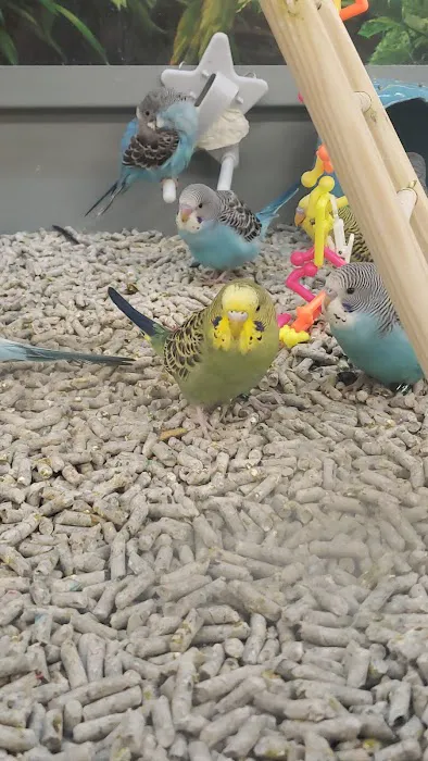 Petco Picture 9