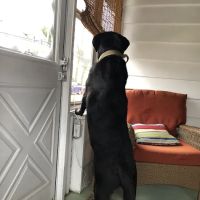 Valley Brook Veterinary Hospital ico