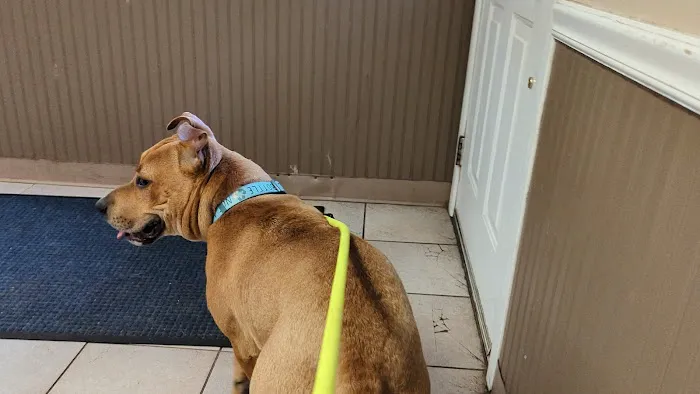 Valley Brook Veterinary Hospital Picture 4
