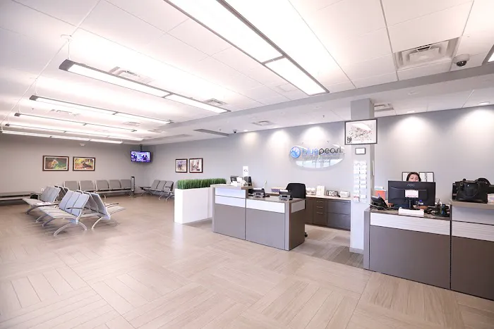BluePearl Pet Hospital Picture 2