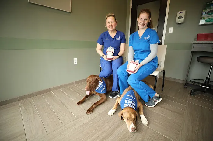 BluePearl Pet Hospital Picture 10