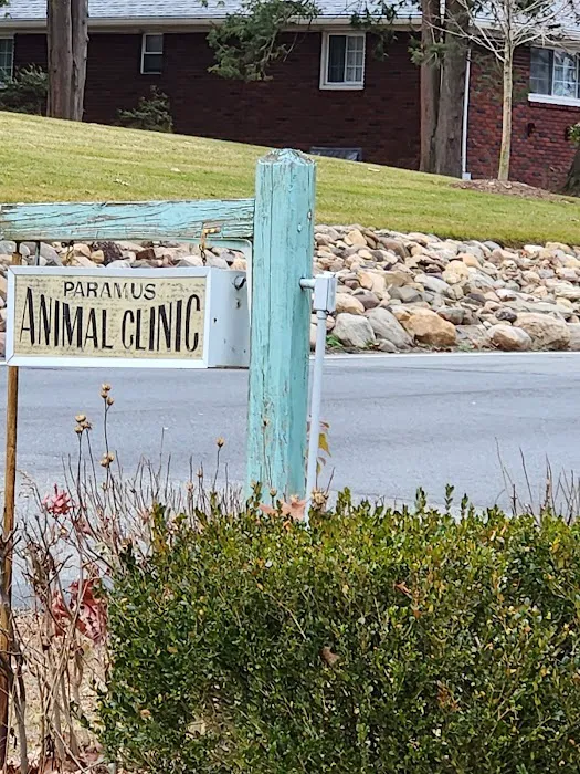 Paramus Animal Clinic Picture 6