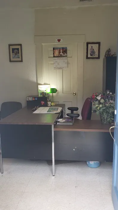 Paramus Animal Clinic Picture 2