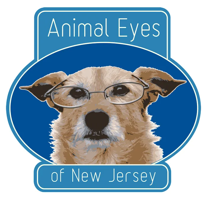 Animal Eyes of New Jersey/Veterinary Ophthalmology Services Picture 2