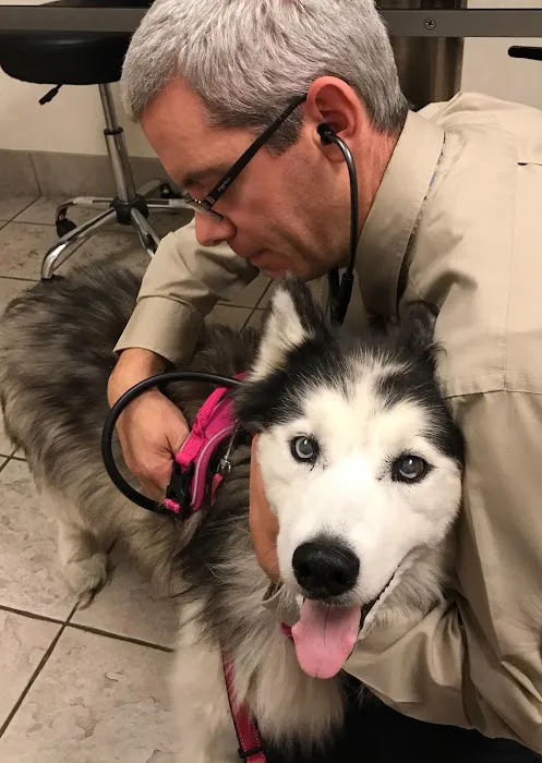 Oradell Animal Hospital - Paramus Picture 5