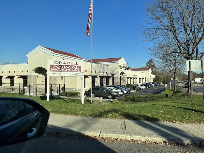 Oradell Animal Hospital - Paramus Picture 4