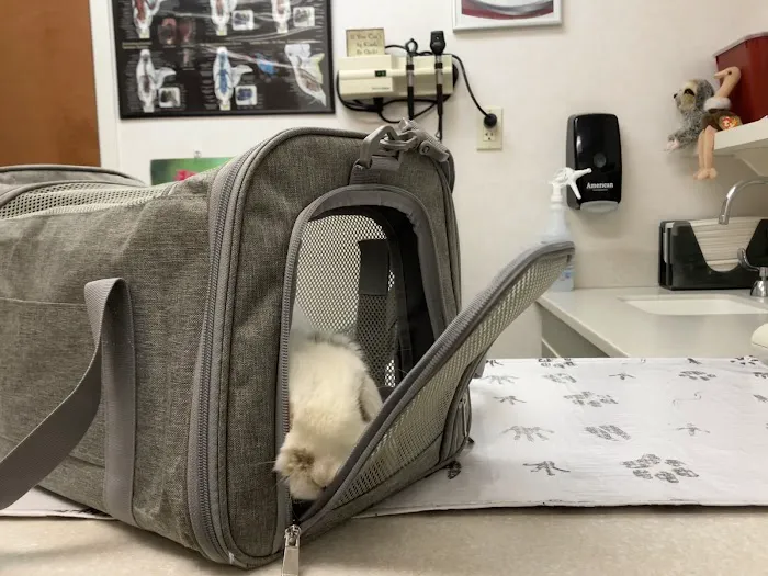Oradell Animal Hospital - Paramus Picture 9