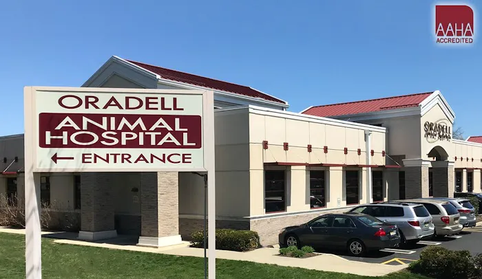 Oradell Animal Hospital - Paramus Picture 7