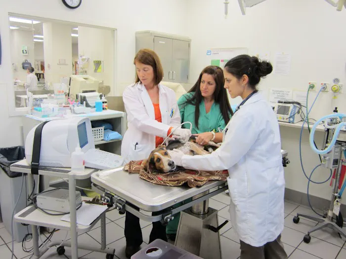 Oradell Animal Hospital - Paramus Picture 8