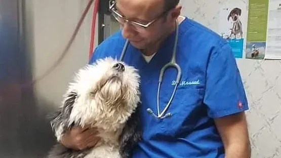 Farview Animal Clinic Paramus Picture 4