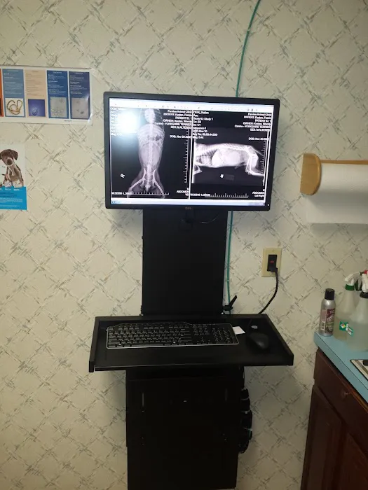 Farview Animal Clinic Paramus Picture 6