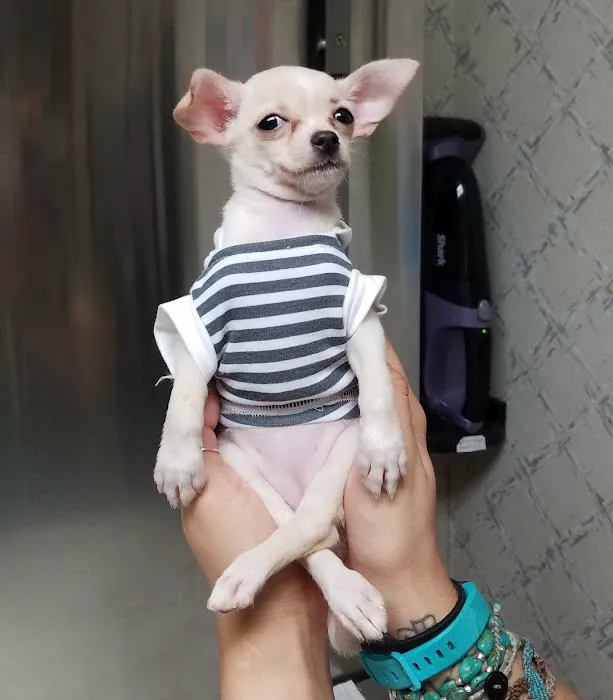 Farview Animal Clinic Paramus Picture 9