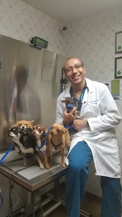 Farview Animal Clinic- Paramus Dr Mosaad Picture 8