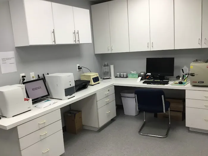 Saddle Brook Veterinary Center Picture 3