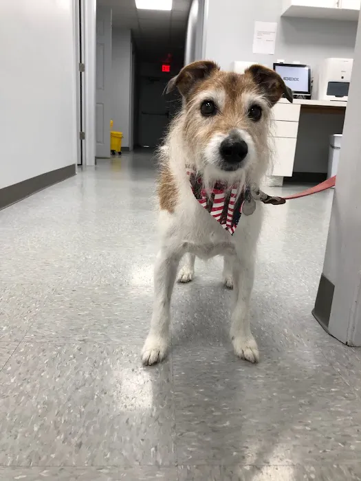 Saddle Brook Veterinary Center Picture 6