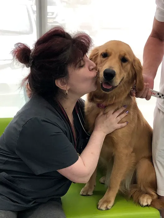 Saddle Brook Veterinary Center Picture 7