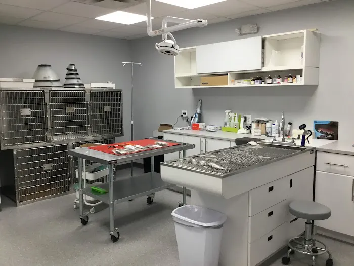 Saddle Brook Veterinary Center Picture 8