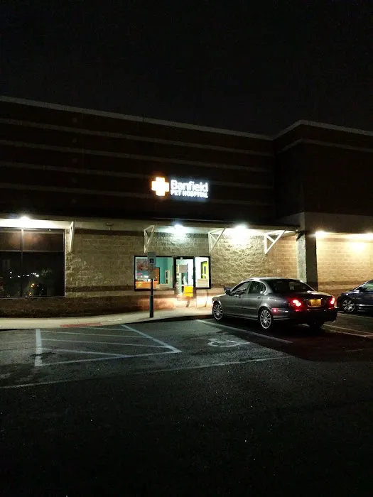 Banfield Pet Hospital Picture 2