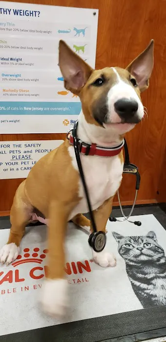Banfield Pet Hospital Picture 9