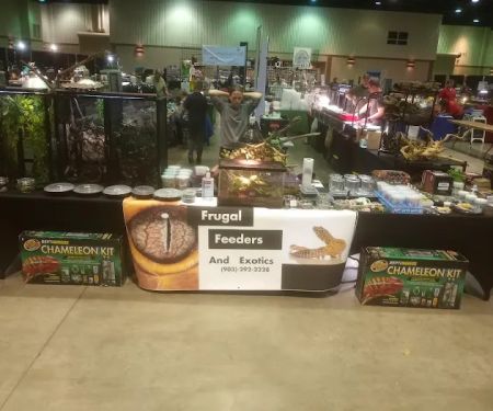 Frugal Feeders & Exotics