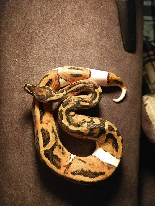Frugal Feeders & Exotics Picture 5