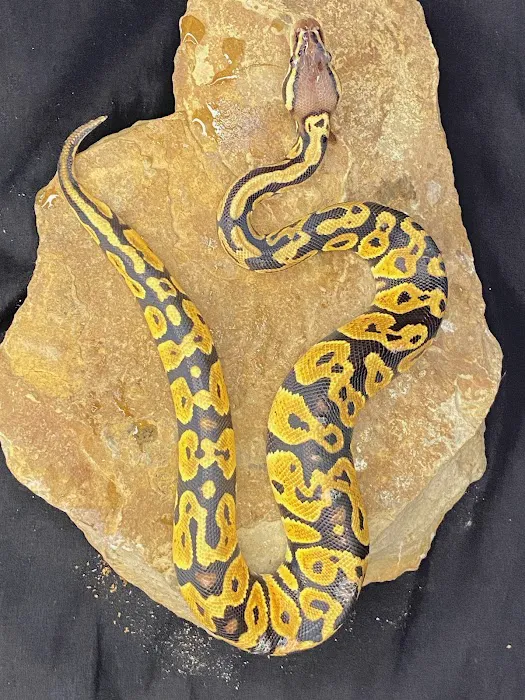 Frugal Feeders & Exotics Picture 8