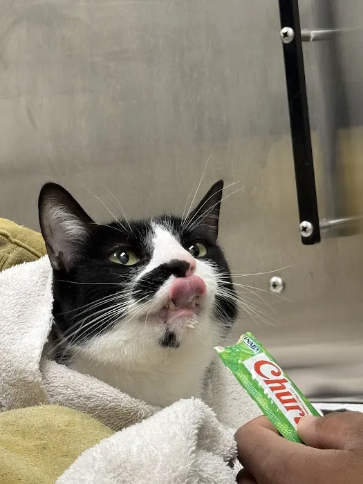 Meadowlands Veterinary Hospital Picture 5