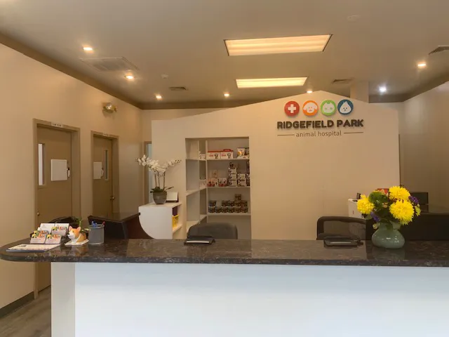 Ridgefield Park Animal Hospital Picture 1