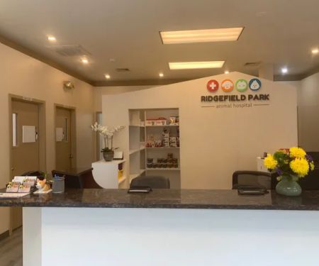 Ridgefield Park Animal Hospital