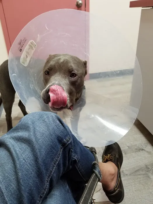 Ridgefield Park Animal Hospital Picture 8