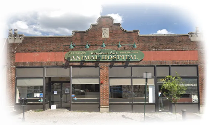 Ridgefield Park Animal Hospital Picture 6