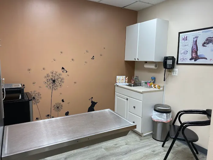 Ridgefield Park Animal Hospital Picture 4