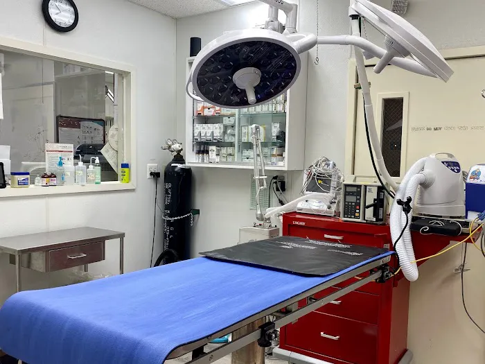 Ridgefield Park Animal Hospital Picture 3