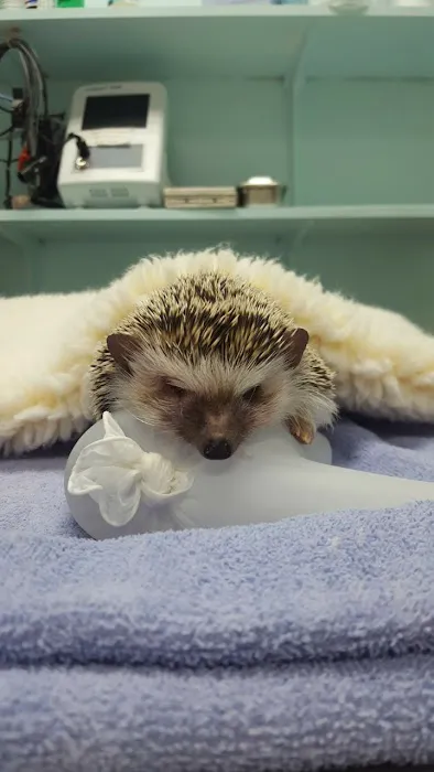Ridgefield Park Animal Hospital Picture 10