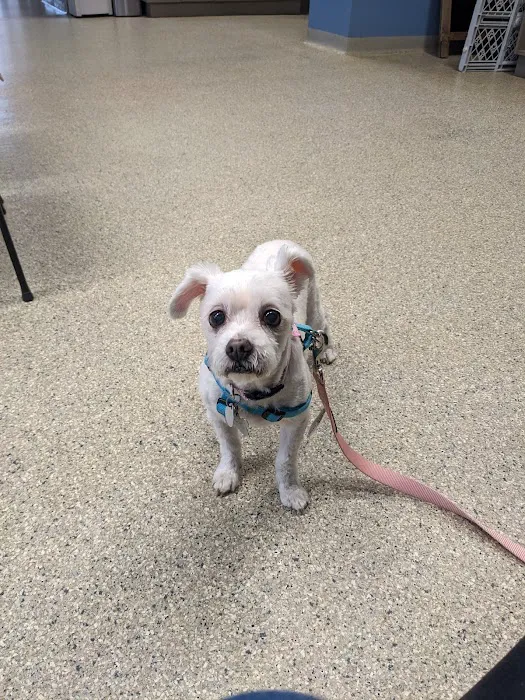 Maywood Veterinary Clinic Picture 2