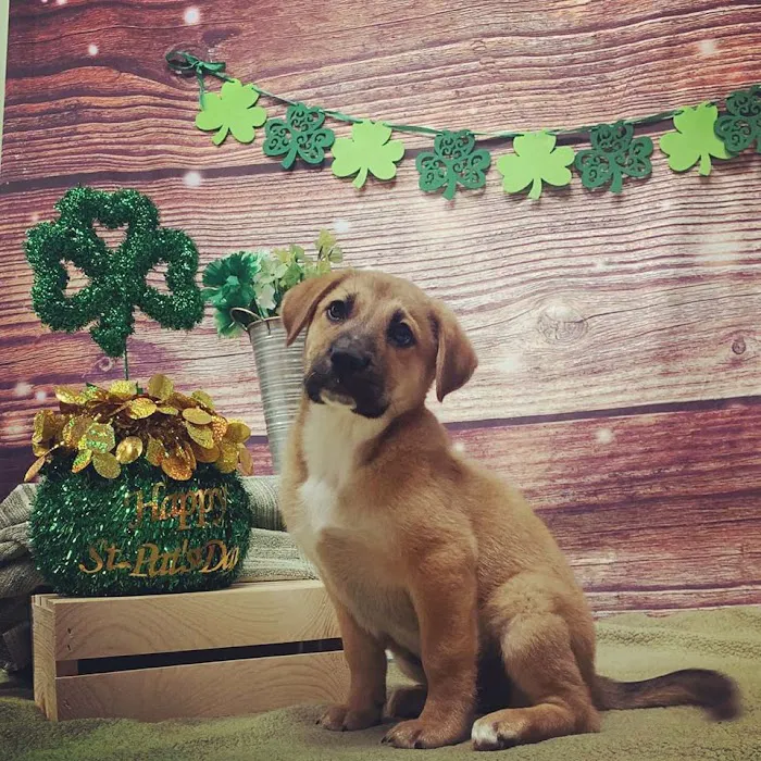 Maywood Veterinary Clinic Picture 9