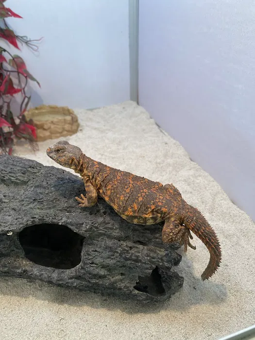 William's Pets and Supplies Picture 3