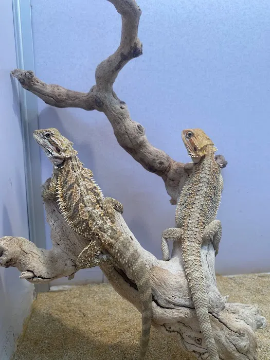 William's Pets and Supplies Picture 8