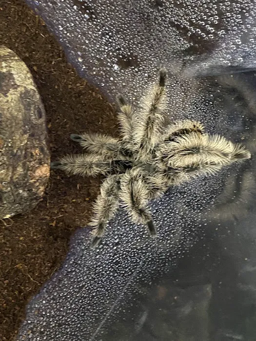 William's Pets and Supplies Picture 7
