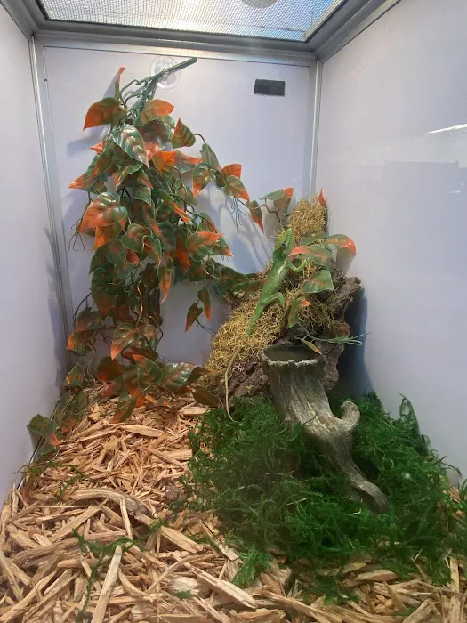 William's Pets and Supplies Picture 9