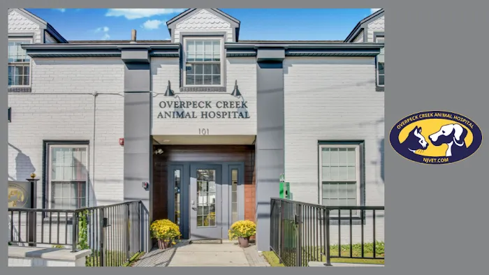 Overpeck Creek Animal Hospital Picture 10