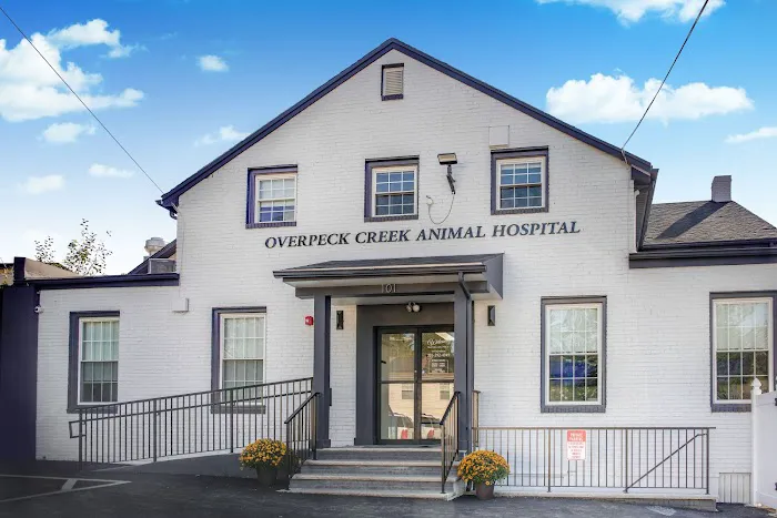 Overpeck Creek Animal Hospital Picture 4