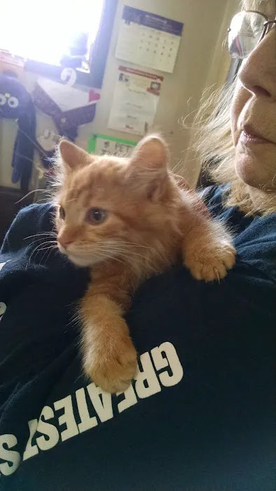 Hackensack Animal Hospital Picture 4