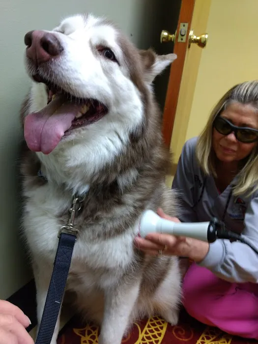 Beach Buddies Animal Hospital Picture 6
