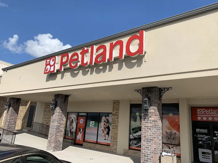 Petland Tyler Picture 3