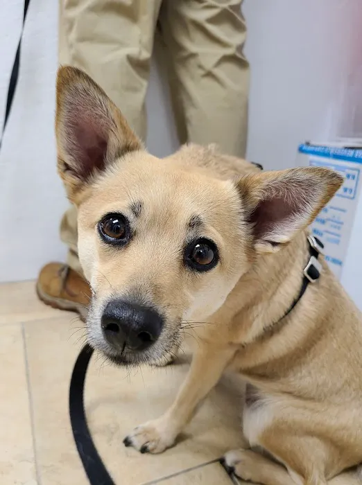 Beacon Veterinary Clinic Picture 1