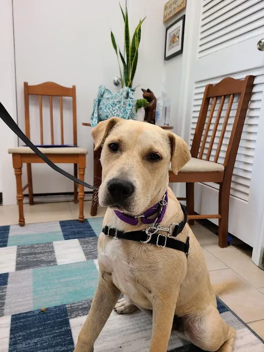 Beacon Veterinary Clinic Picture 7