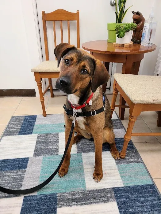 Beacon Veterinary Clinic Picture 4