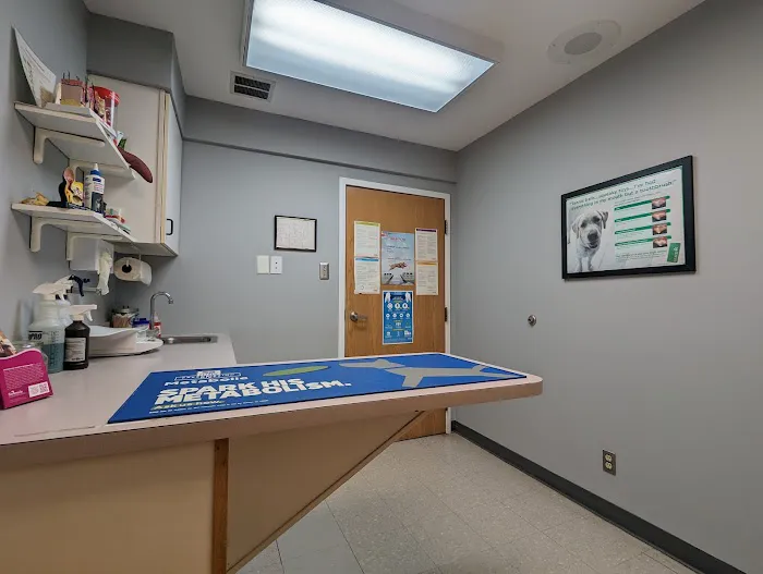 Shore Veterinarians Picture 6