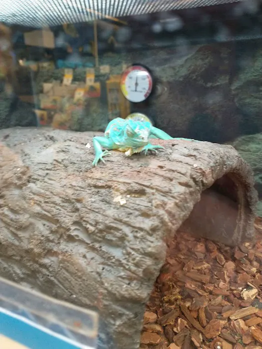 Petco Picture 3